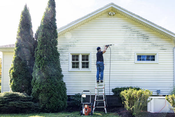 Best Sidewalk and Walkway Cleaning  in Nederland, TX